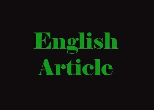 English Skills: English Article